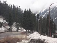 DSCF1133