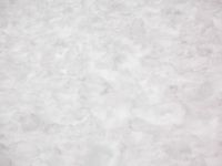 DSCF1153