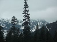 DSCF1166