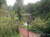 DSCF1219