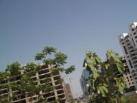 DSCF1259
