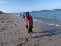 DSCF1408