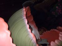 DSCF1684