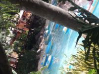 DSCF2046