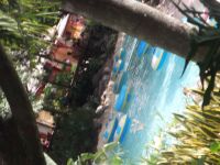 DSCF2047