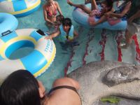 DSCF2058