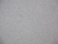 DSCF2071