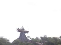DSCF2079