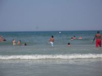 DSCF2150