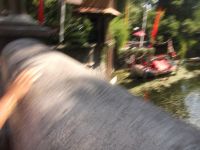 DSCF2169