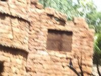 DSCF2206