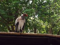 DSCF2227