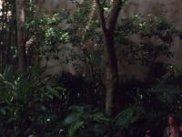 DSCF2237