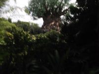 DSCF2259