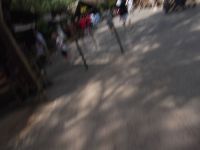 DSCF2263