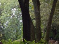 DSCF2272