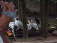DSCF2275