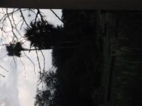 DSCF2292