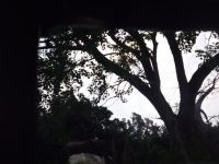 DSCF2296
