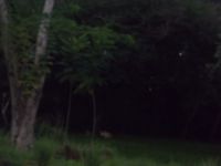 DSCF2301