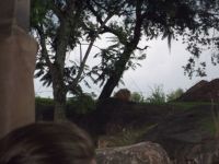 DSCF2305