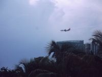 DSCF2531