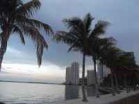 DSCF2540
