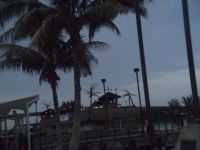 DSCF2542