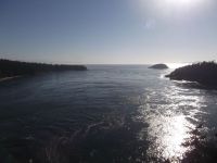 DSCF4013