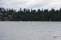 IMG 0016