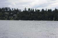 IMG 0017