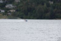 IMG 0018