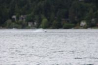 IMG 0021