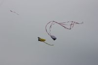 IMG 0036