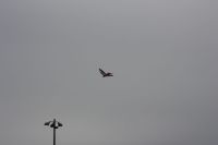 IMG 0038