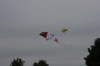 IMG 0042
