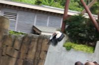 IMG 0258