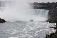 IMG 1192