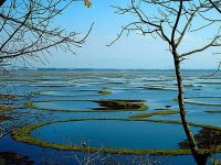 IMPHAL LOKTAK LAKE