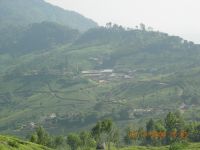 MUNNAR MOUNTAINS 5