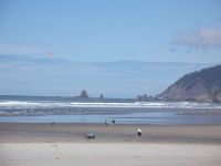 OREGON 147