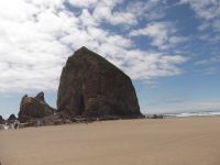OREGON 151
