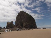 OREGON 155