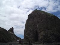 OREGON 156