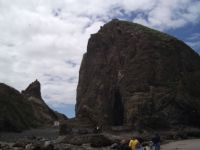 OREGON 157