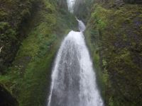 OREGON 337