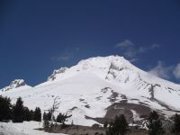 OREGON 459