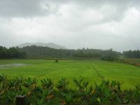 WAYANAD HILL STATION