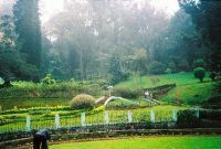 COONOOR HILL STATION
