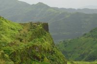 FORT WALL OVERGROWN COVERED